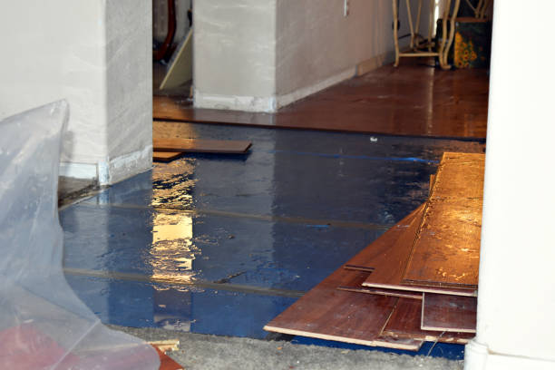 Professional Flood Cleanup technician working in Worthville, KY