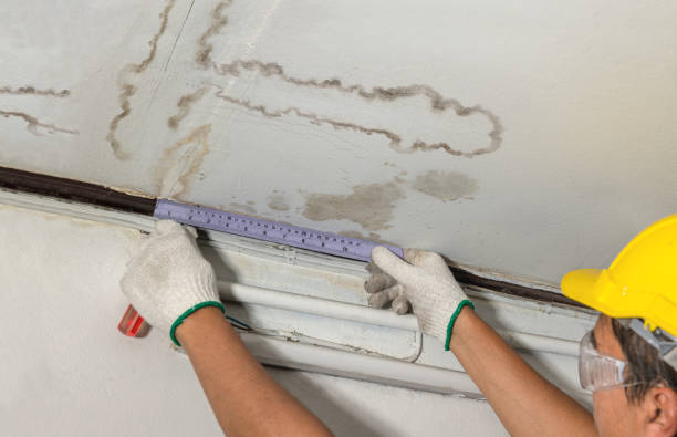 Reliable Flood Cleanup contractor in Worthville, KY by Water Damage Irwin
